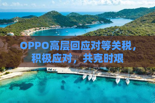 OPPO高层回应对等关税，积极应对，共克时艰