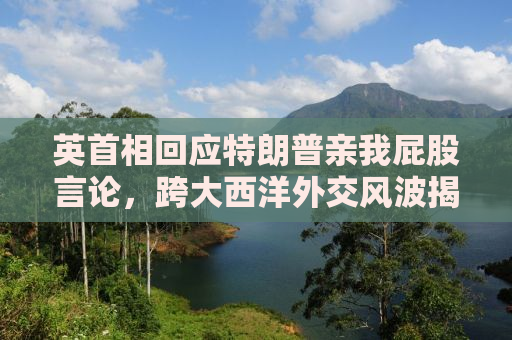 英首相回应特朗普亲我屁股言论，跨大西洋外交风波揭秘