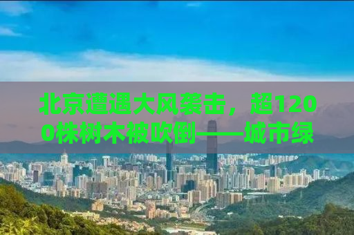 北京遭遇大风袭击，超1200株树木被吹倒——城市绿化面临挑战