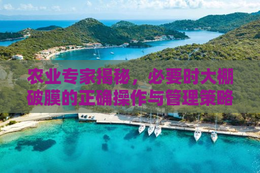 农业专家揭秘，必要时大棚破膜的正确操作与管理策略