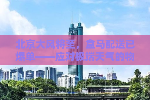 北京大风将至，盒马配送已爆单——应对极端天气的物流挑战