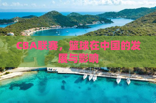 CBA联赛，篮球在中国的发展与影响