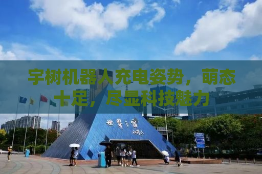 宇树机器人充电姿势，萌态十足，尽显科技魅力