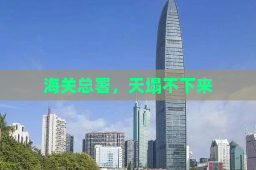 海关总署，天塌不下来