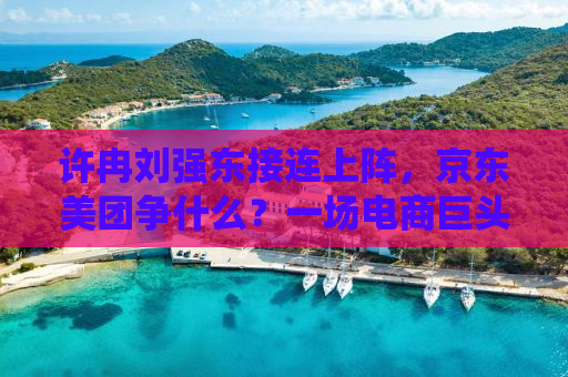 许冉刘强东接连上阵，京东美团争什么？一场电商巨头的新战役