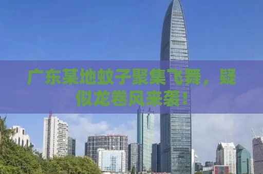 广东某地蚊子聚集飞舞，疑似龙卷风来袭！