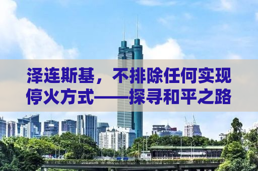 泽连斯基，不排除任何实现停火方式——探寻和平之路的新曙光