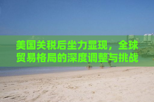 美国关税后坐力显现，全球贸易格局的深度调整与挑战应对