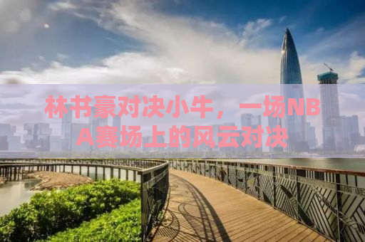 林书豪对决小牛，一场NBA赛场上的风云对决