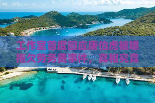 工作室首度回应唐伯虎被曝拖欠劳务费事件，真相究竟如何？