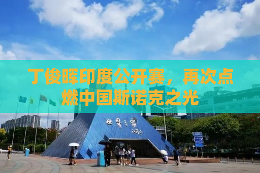 丁俊晖印度公开赛，再次点燃中国斯诺克之光