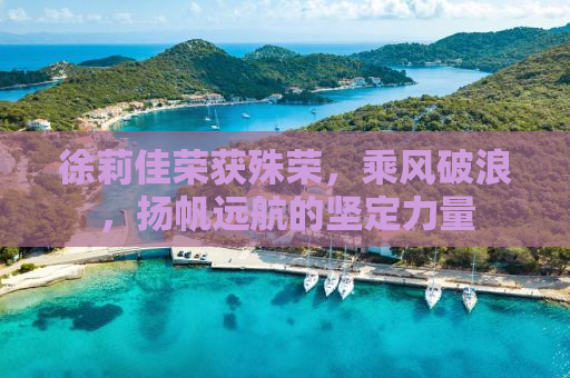 徐莉佳荣获殊荣，乘风破浪，扬帆远航的坚定力量