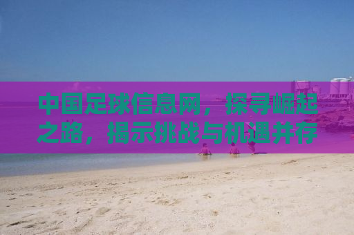 中国足球信息网，探寻崛起之路，揭示挑战与机遇并存的真实面貌