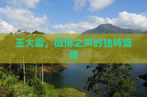 王大雷，微博之声的独特旋律