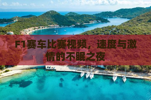 F1赛车比赛视频，速度与激情的不眠之夜