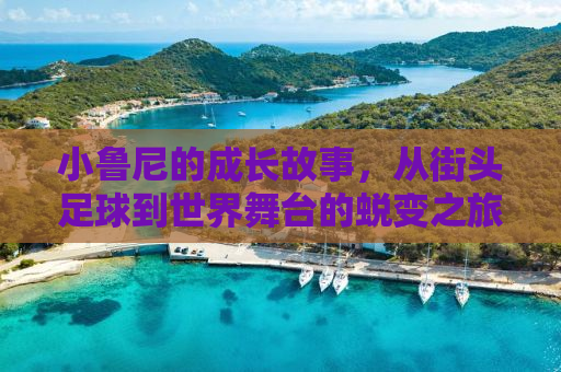 小鲁尼的成长故事，从街头足球到世界舞台的蜕变之旅