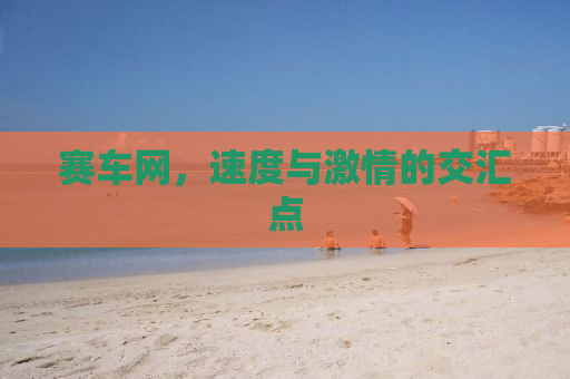 赛车网，速度与激情的交汇点