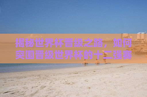 揭秘世界杯晋级之路，如何突围晋级世界杯的十二强赛阶段