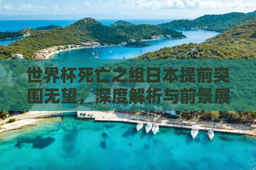 世界杯死亡之组日本提前突围无望，深度解析与前景展望