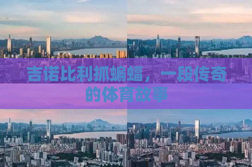 吉诺比利抓蝙蝠，一段传奇的体育故事