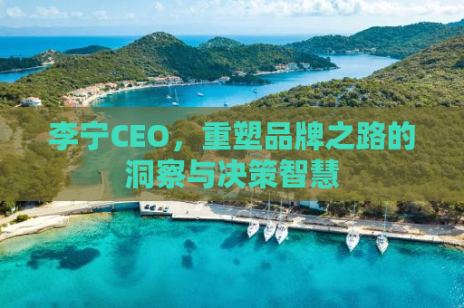 李宁CEO，重塑品牌之路的洞察与决策智慧