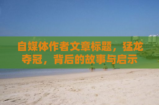 自媒体作者文章标题，猛龙夺冠，背后的故事与启示