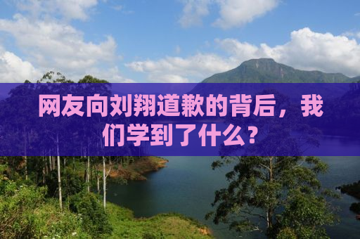 网友向刘翔道歉的背后，我们学到了什么？