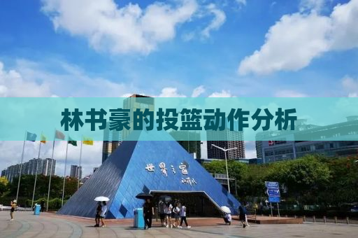 林书豪的投篮动作分析