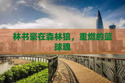 林书豪在森林狼，重燃的篮球魂