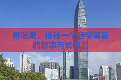 博哈尼，揭秘一个名字背后的故事与影响力