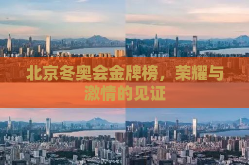 北京冬奥会金牌榜，荣耀与激情的见证