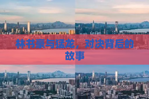 林书豪与猛龙，对决背后的故事