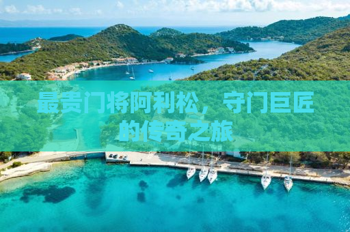 最贵门将阿利松，守门巨匠的传奇之旅