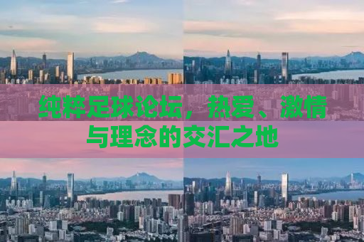 纯粹足球论坛，热爱、激情与理念的交汇之地