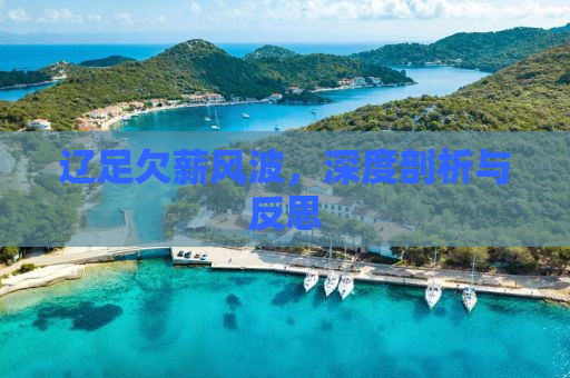 辽足欠薪风波，深度剖析与反思